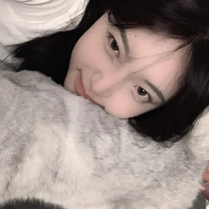 自由鸟